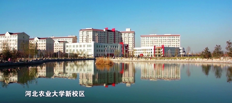 正在上傳...